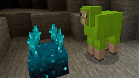 Image result for How to Fix Connection Was Forcably Closed by a Remote Host Minecraft Server