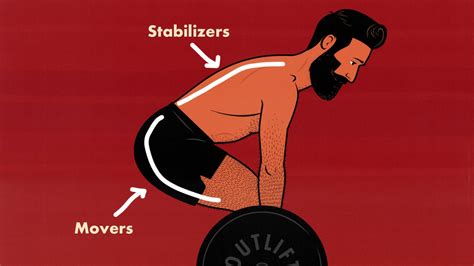 Back Exercise 的图像结果