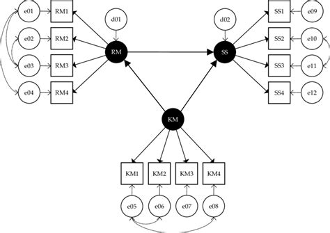 Image result for Sem Structural Equation Modeling