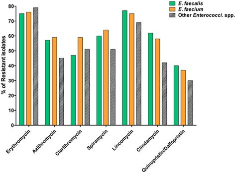 Clinical Resistant Strains of Enterococci and Their Correlation to ...