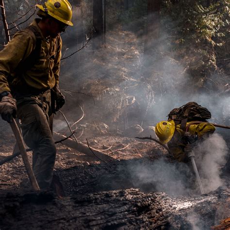 Wildland Firefighter Wages