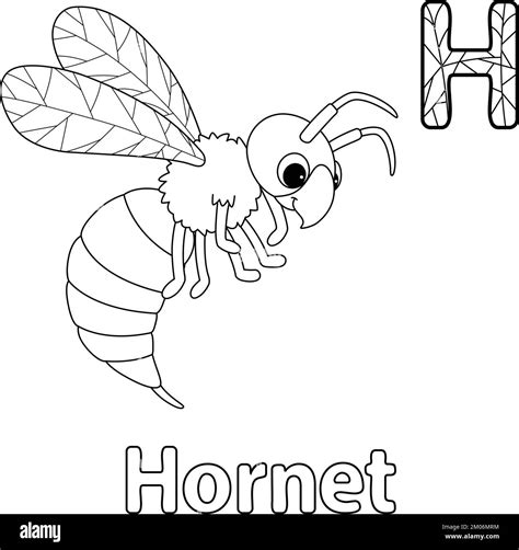 Hornet Animal Alphabet ABC Isolated Coloring H Stock Vector Image & Art ...