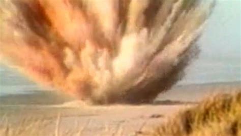 Shocking Whales Exploding Moments 的图像结果