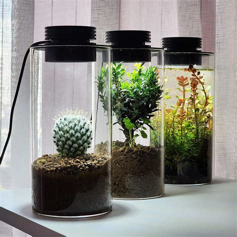 AREPK Desktop Glass Plant Terrarium with Grow Light India | Ubuy