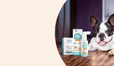 Buy Health & Wellness Medication for Dogs Online in Best Prices in ...