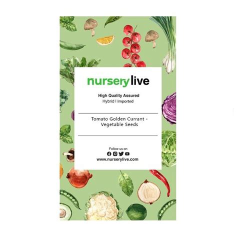 Buy Tomato Golden Currant - Vegetable Seeds online from Nurserylive at ...