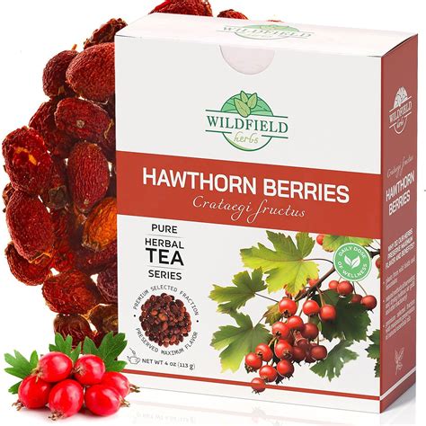Amazon.com : 4 oz. Hawthorn Berry Tea Hawthorn Tea Herbal (Crataegi ...