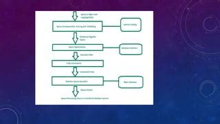 Distributed Query Processing 的图像结果