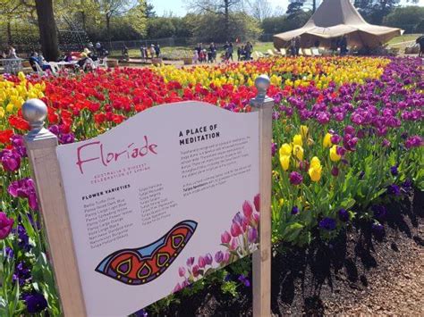 Image result for Examples of Re Writing