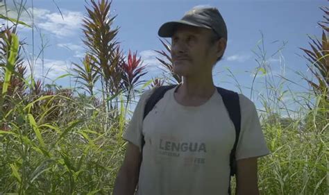 Image result for Rarest Language