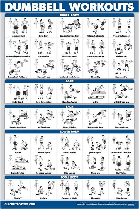 Palace Learning Dumbbell Workout Exercise Poster - Laminated - Home ...
