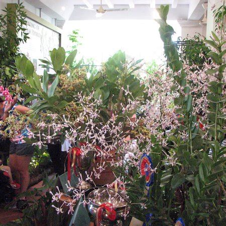 National Orchid Garden (Singapore) - 2018 What to Know Before You Go ...