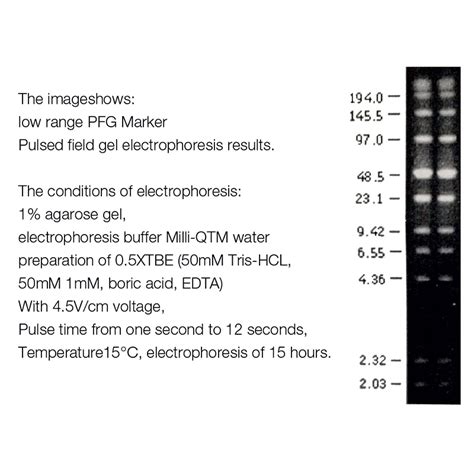 Bionova Biologicals PVT LTD