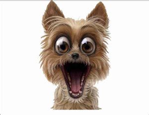 Sahaj Décor 50 cm funny beautiful dog Wall Sticker Covering Area ...