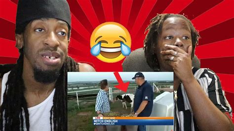 Animal Bloopers Compilation 的图像结果