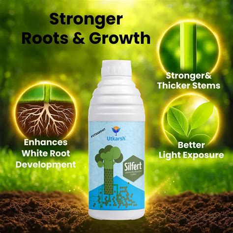 Potash Fortified with Silicon | Growth Boost for Yield | Shop Now ...