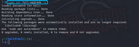 Image result for Kali Linux Update Command