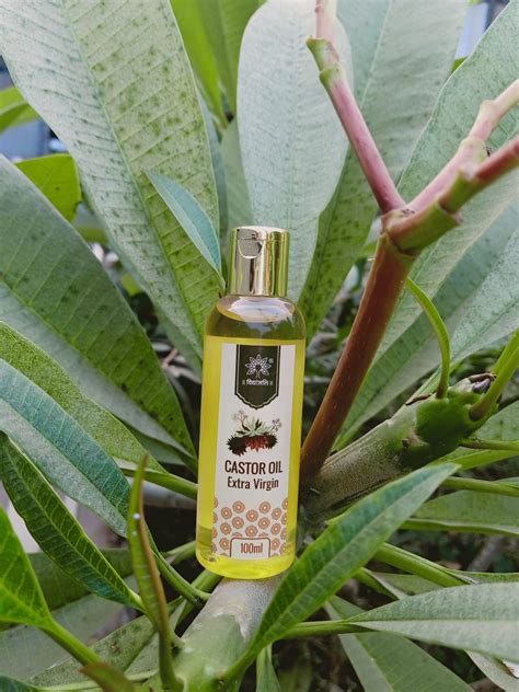 Castor Oil - Cold Pressed/Wood Pressed/Extra Virgin - 100ml — Vidhyanjali