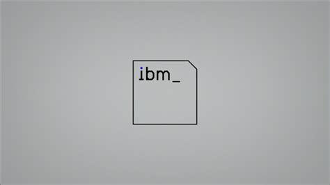 IBM 的图像结果