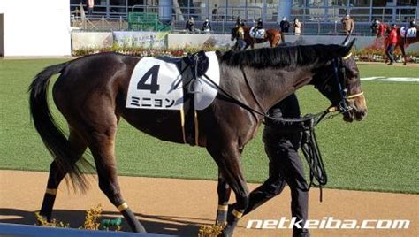 ミニョン (Mignon) | 競走馬データ - netkeiba