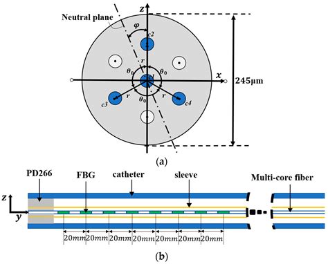 A Novel Catheter Shape-Sensing Method Based on Deep Learning with a ...