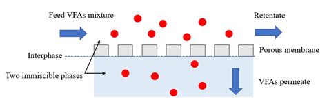 Volatile Fatty Acid recovery | Encyclopedia MDPI