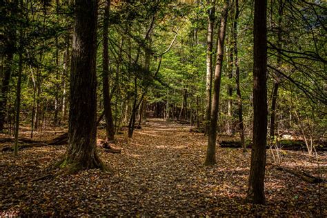 15 AMAZING Things to Do in Cuyahoga Valley National Park