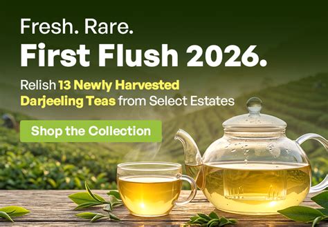 Golden Tips Tea: Buy Premium Loose Leaf Indian Tea, Direct from source