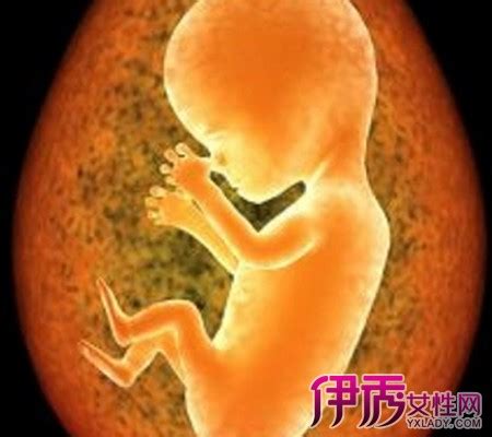 【怀孕一个月的宝宝】【图】怀孕一个月的宝宝是怎么发育的 详解小孩子的4个发展阶段_伊秀亲子|yxlady.com