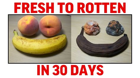 Image result for Rotting Fodder