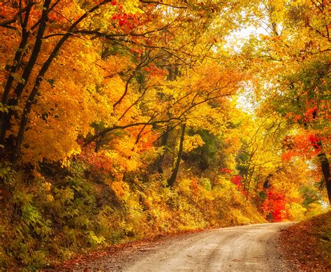 Image result for Beautiful Autumn Fall