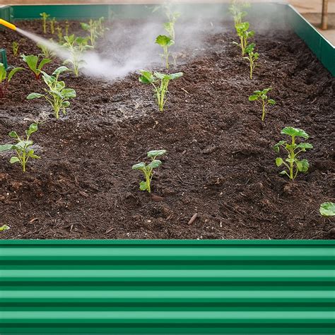 How to Get Rid of Ants in Garden Beds - Aosom