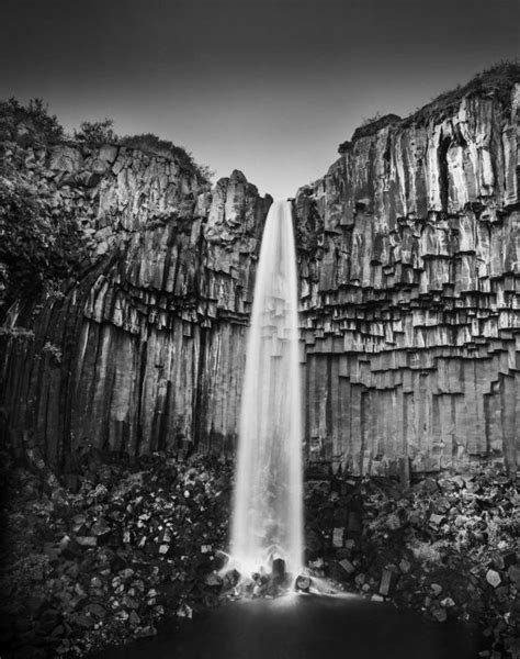 Image result for Large Format Camera Tutorial