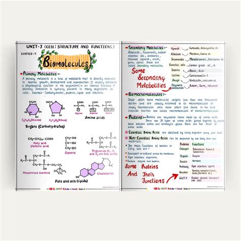 NEET – NCERT Kaksha