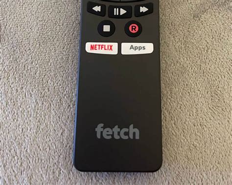 Set Up Fetch Mini 的图像结果