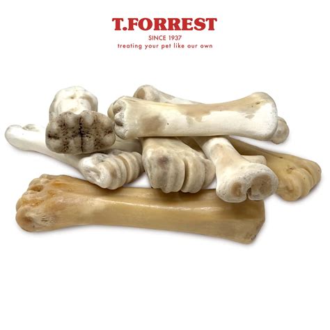 Calcium Shank Bone For Dogs | 100% Beef Shank Bone – T.Forrest