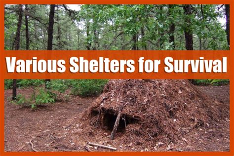 Image result for Different Types of Survival Shelters