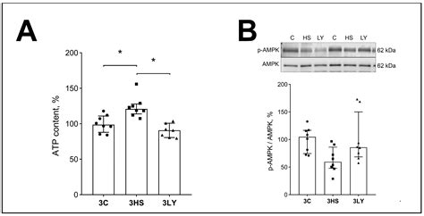 Role of PI3 Kinases in Cell Signaling and Soleus Muscle Atrophy During ...
