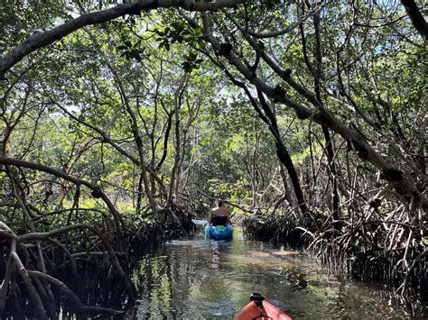Image result for Kayaking Shell Key Preserve