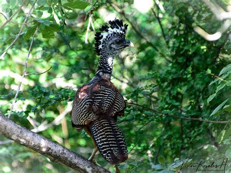 MAHAHUAL ECOTOURS (2025) All You Need to Know BEFORE You Go (with ...