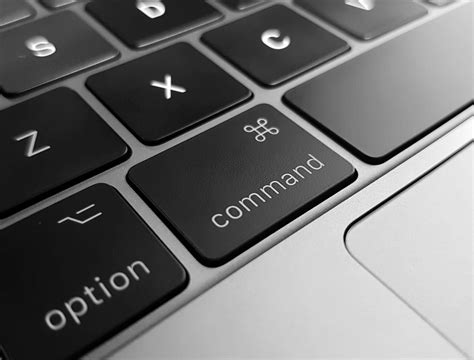 Alt Key Application 的图像结果