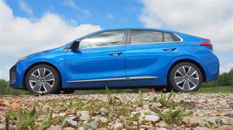 10 Three-Year-Old Hybrids That Are Worth Buying