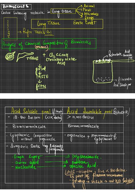Bio L1 - Biomolecules Overview and Key Concepts - Studocu