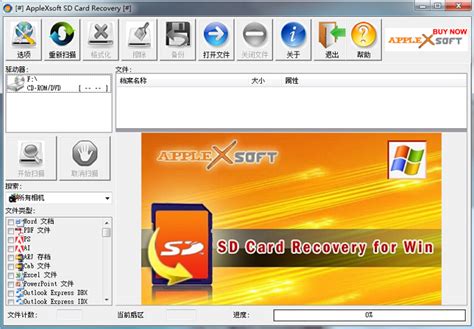 SD卡恢复软件(sd卡数据恢复) 图片预览