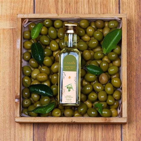 Cold Pressed Good Olive Oil for Hair Available at Best Price – CAMIA