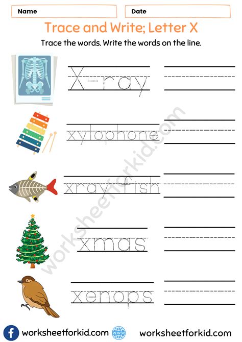 Trace and Write Words Worksheet-Letter X - WorksheetForKid