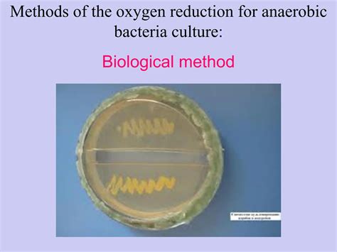Bacteriological method — Anaerobic bacteria.pdf