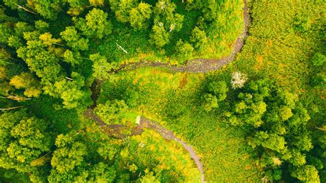 Image result for Zero Waste Documentary