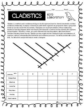 Image result for Building a Cladogram Activity