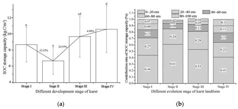 Mechanism and Evolution of Soil Organic Carbon Coupling with Rocky ...